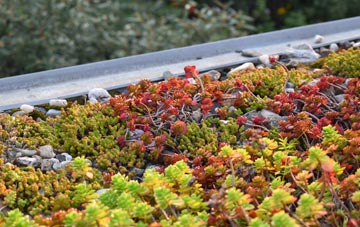 the cost of Becconsall green roof installation