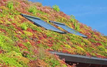 Becconsall living roof systems